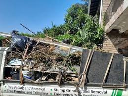 Best Estate Cleanout  in Edenton, NC