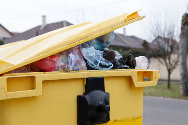 Best Yard Waste Removal  in Edenton, NC
